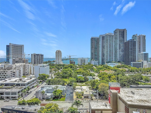 3301 NE 1st Ave Unit H1215, Miami, FL 33137 - skyline view