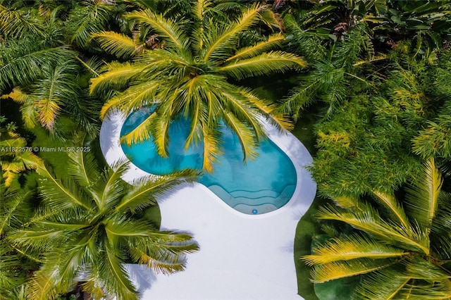 view of pool