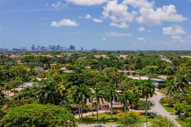 aerial view of city skyline and a tree filled landscape