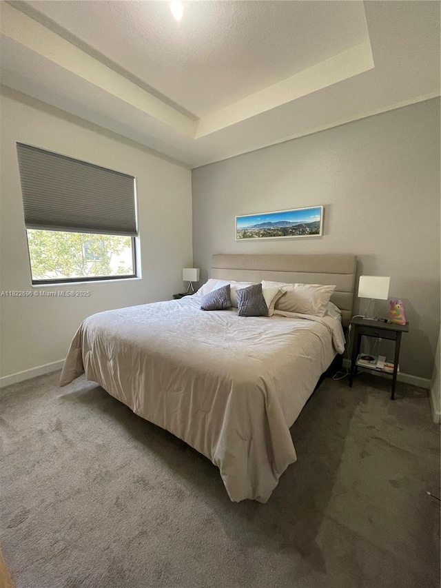 10586 W 33rd Ct Unit 10586, Hialeah, FL 33018 - carpeted bedroom featuring baseboards and a raised ceiling