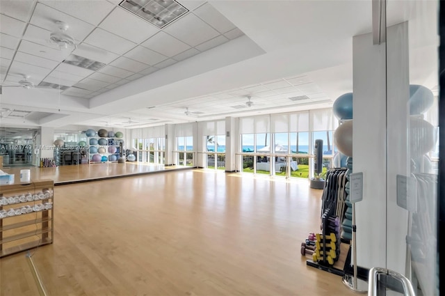 16425 Collins Ave Unit 311, Sunny Isles Beach, FL 33160 - exercise room featuring a paneled ceiling, ceiling fan, and wood finished floors