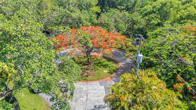11230 SW 69th Ct, Pinecrest, FL 33156 - aerial view