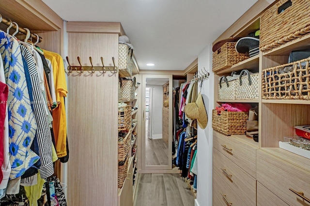 600 Three Islands Blvd Unit 615, Hallandale Beach, FL 33009 - spacious closet featuring wood finished floors