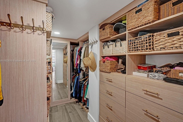 600 Three Islands Blvd Unit 615, Hallandale Beach, FL 33009 - spacious closet featuring light wood-style flooring