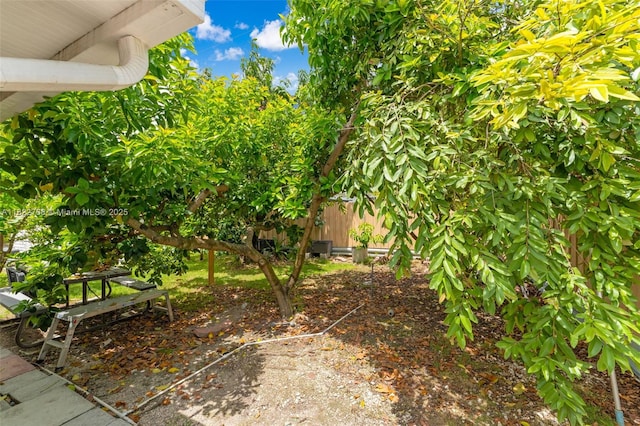 28540 SW 146th Ave, Homestead, FL 33033 - view of yard