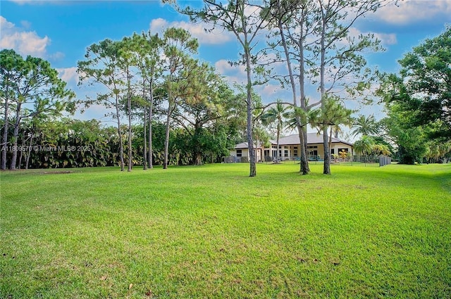 6807 NW 66th Way, Parkland, FL 33067 - view of green lawn
