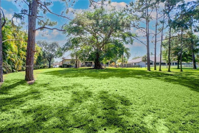 6807 NW 66th Way, Parkland, FL 33067 - view of grassy yard