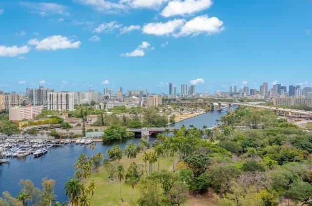 1861 NW S River Dr Unit 807, Miami, FL 33125 - water view with skyline and a notable bridge