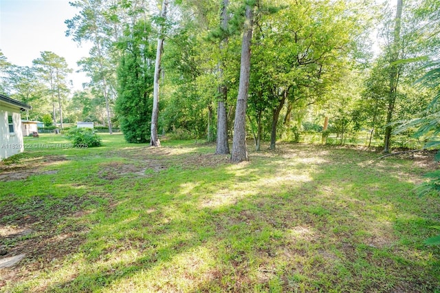 3313 N Ridge Rd, Tallahassee, FL 32305 - view of green lawn