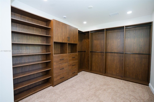 3313 N Ridge Rd, Tallahassee, FL 32305 - walk in closet featuring light carpet