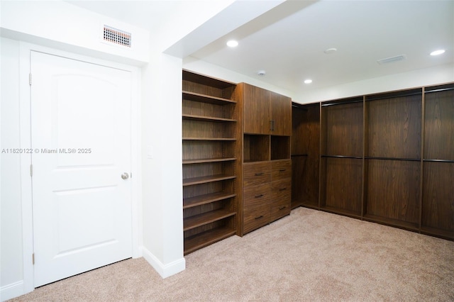 3313 N Ridge Rd, Tallahassee, FL 32305 - spacious closet with light colored carpet