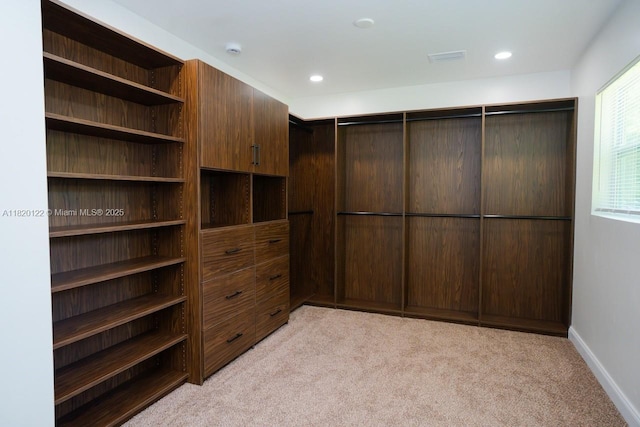 3313 N Ridge Rd, Tallahassee, FL 32305 - spacious closet featuring light colored carpet