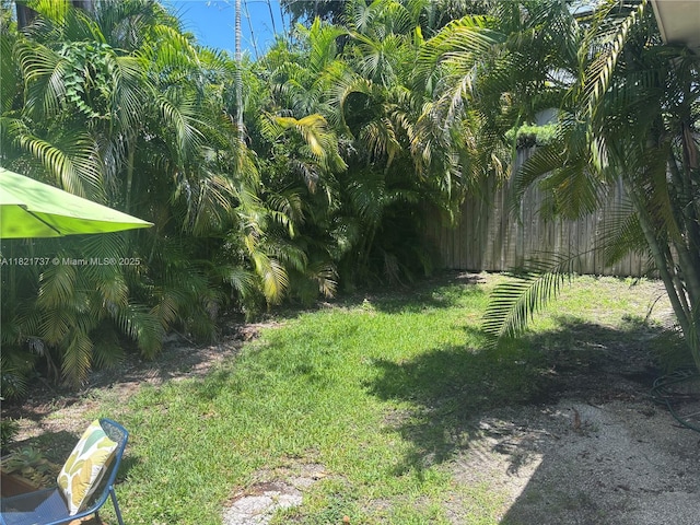 2985 Aviation Ave, Miami, FL 33133 - view of yard