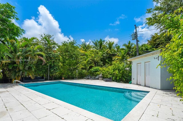170 NW 105th St, Miami Shores, FL 33150 - outdoor pool with a patio area