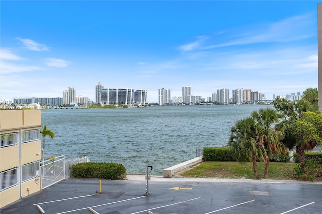 251 174th St Unit 218, Sunny Isles Beach, FL 33160 - water view with skyline