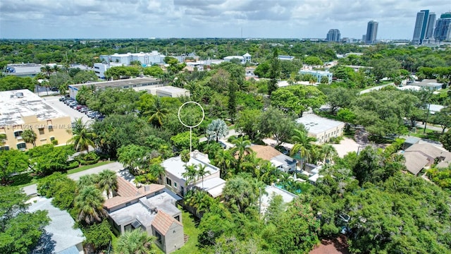 1314 SE 1st Ave, Fort Lauderdale, FL 33316 - bird's eye view of a tree filled landscape