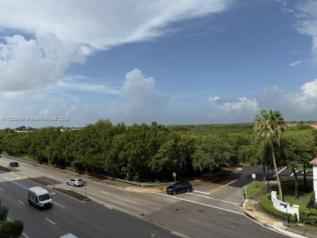 7875 NW 107th Ave Unit 410, Doral, FL 33178 - view of asphalt street