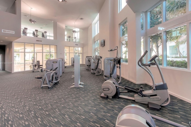 1900 N Bayshore Dr Unit 2104, Miami, FL 33132 - gym with carpet flooring, a towering ceiling, and plenty of natural light