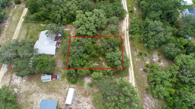 2644 London Rd, Avon Park, FL 33825 - photo 3