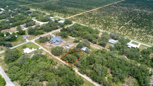 2644 London Rd, Avon Park, FL 33825 - photo 5
