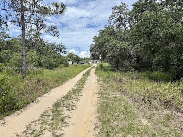 2644 London Rd, Avon Park, FL 33825 - photo 6