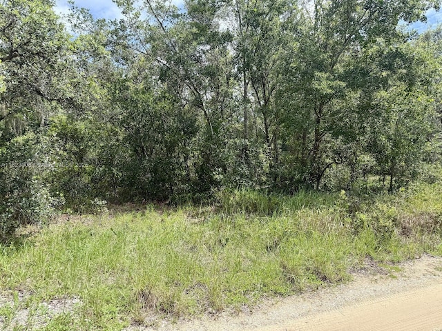2644 London Rd, Avon Park, FL 33825 - photo 7
