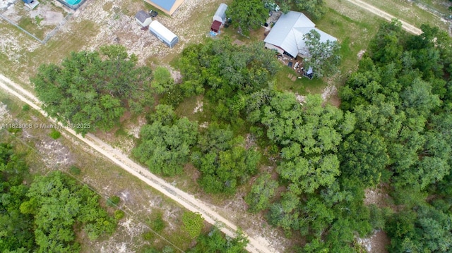 2644 London Rd, Avon Park, FL 33825 - photo 8
