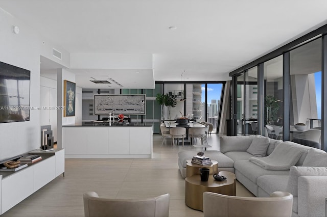 1000 Biscayne Blvd Unit 3402, Miami, FL 33132 - living room featuring expansive windows and light wood-type flooring