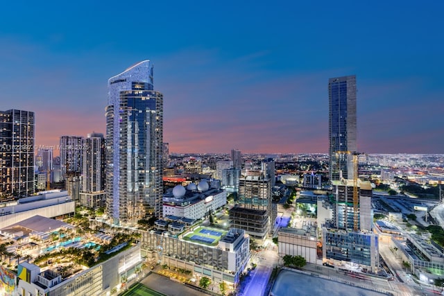1000 Biscayne Blvd Unit 3402, Miami, FL 33132 - city view