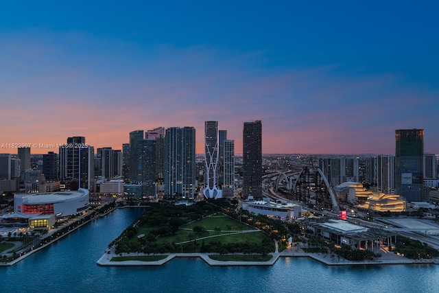 1000 Biscayne Blvd Unit 3402, Miami, FL 33132 - view of city skyline with a nearby body of water