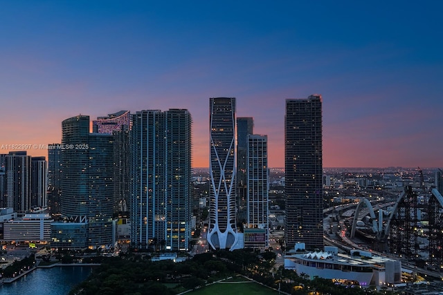1000 Biscayne Blvd Unit 3402, Miami, FL 33132 - skyline view