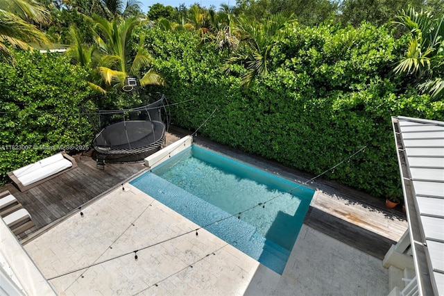 220 Cypress Dr, Key Biscayne, FL 33149 - view of pool with a wooden deck