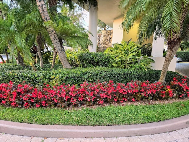 19667 Turnberry Way Unit 20B, Aventura, FL 33180 - view of yard