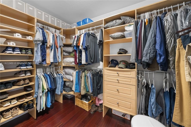 2631 SW 180th Ave, Miramar, FL 33029 - walk in closet featuring wood finished floors