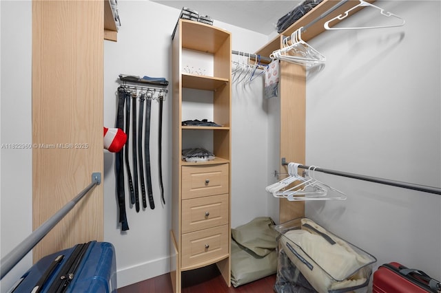 2631 SW 180th Ave, Miramar, FL 33029 - spacious closet with wood finished floors