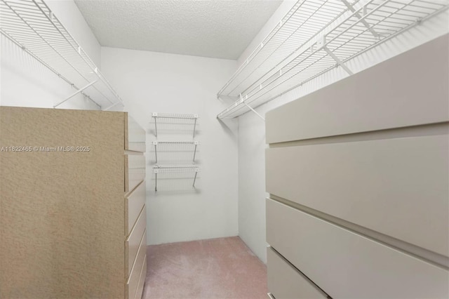 19667 Turnberry Way Unit 6-A, Aventura, FL 33180 - spacious closet featuring light colored carpet