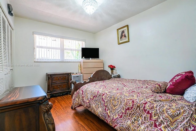 215 SE 3rd Ave Unit 405C, Hallandale Beach, FL 33009 - bedroom featuring dark wood-style floors and a closet
