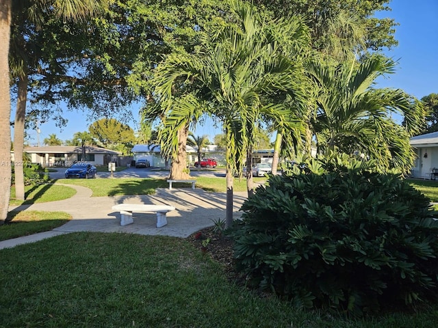 3801 NE 22nd Ter Unit 7, Lighthouse Point, FL 33064 - view of grassy yard
