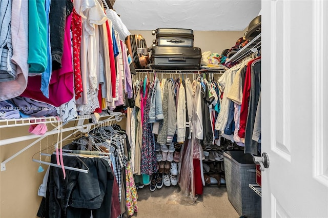 6797 SW 40th St Unit 71, Davie, FL 33314 - view of walk in closet