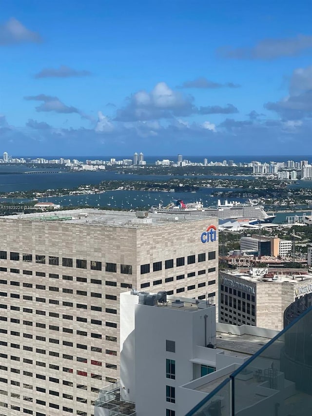 300 Biscayne Blvd Way Unit 5009, Miami, FL 33131 - city view