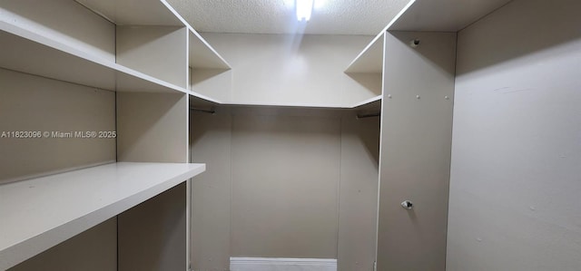 14830 Naranja Lakes Blvd Unit A1B, Homestead, FL 33032 - view of spacious closet