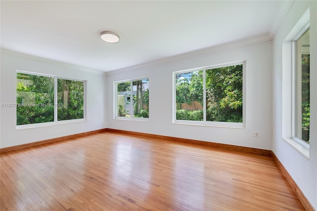 708 Navarre Ave, Coral Gables, FL 33134 - spare room featuring plenty of natural light, ornamental molding, and light wood-style floors