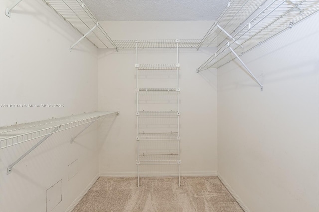 851 Altavista Ter, Davie, FL 33325 - spacious closet featuring light colored carpet