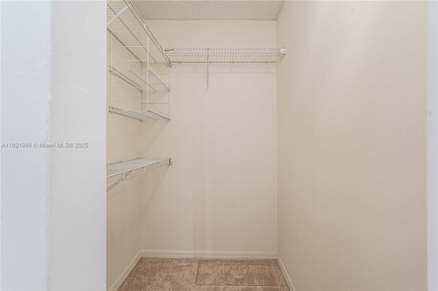 851 Altavista Ter, Davie, FL 33325 - spacious closet featuring light carpet
