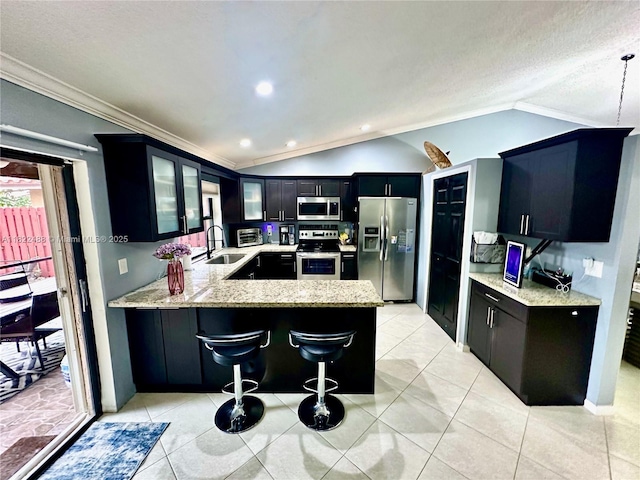 2433 NW 92nd Ave, Coral Springs, FL 33065 - kitchen with stainless steel appliances, lofted ceiling, a peninsula, dark cabinets, and ornamental molding