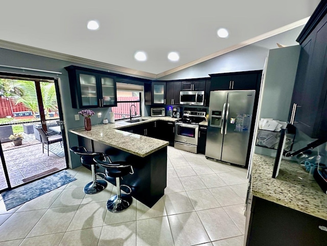 2433 NW 92nd Ave, Coral Springs, FL 33065 - kitchen with stainless steel appliances, ornamental molding, dark cabinetry, a peninsula, and glass insert cabinets