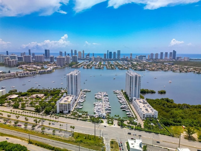 17301 Biscayne Blvd Unit 1704, North Miami Beach, FL 33160 - bird's eye view of city skyline, a large body of water, and numerous boat docks