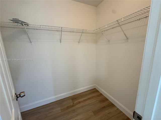 737 SE Brookedge Ave, Port St Lucie, FL 34983 - walk in closet featuring wood finished floors