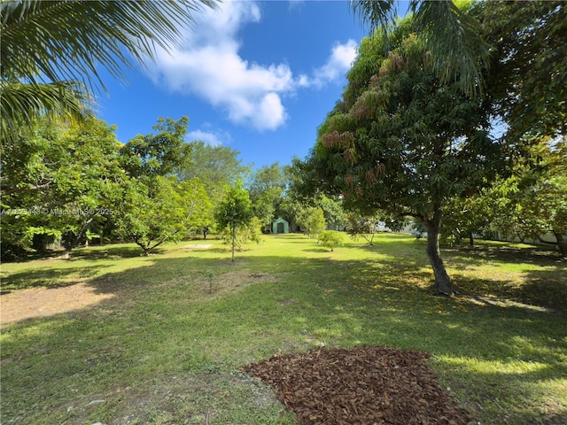 8390 SW 94th St, Miami, FL 33156 - view of grassy yard with view of wooded area