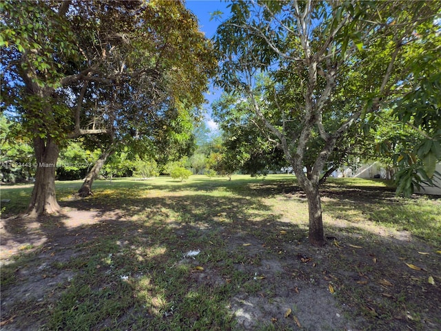8390 SW 94th St, Miami, FL 33156 - view of grassy yard
